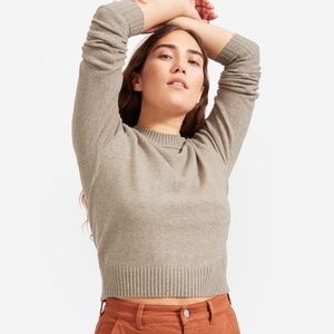 everlane recashmere vintage crew heathered sand